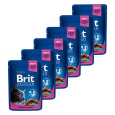 Pliculeț BRIT Premium Cat Chicken & Turkey 6 x 100 g