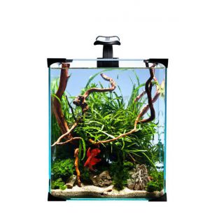 Set Diversa NanoLED 20