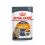 Royal Canin Hair & Skin Care Gravy pliculeț pentru pisici în sos 12 x 85 g