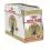 ROYAL CANIN British Shorthair Pliculeț &icirc;n sos 12 x 85 g