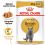 ROYAL CANIN British Shorthair Pliculeț în sos 12 x 85 g