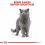 ROYAL CANIN British Shorthair Pliculeț în sos 12 x 85 g