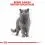 ROYAL CANIN British Shorthair Pliculeț &icirc;n sos 12 x 85 g