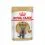 ROYAL CANIN British Shorthair Pliculeț &icirc;n sos 12 x 85 g