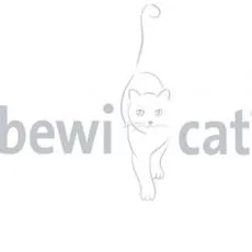 BEWI CAT - Pliculețe și conserve pentru pisici