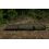 Fox Cort Bivvy Frontier