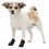 Trixie Walker Active pantofi pentru câini XS