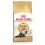 Royal Canin ADULT PERSIAN - 2kg