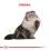 Royal Canin ADULT PERSIAN - 2kg
