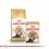 Royal Canin ADULT PERSIAN - 2kg