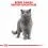 Royal Canin BRITISH SHORTHAIR 10 kg