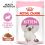 Royal Canin Kitten Instinctive Gravy pliculeț pentru pisoi în sos 24 x 85 g