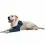 MPS Postoperative sleeve for 2 front legs of dog L