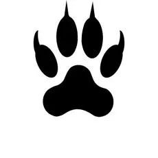 &Icirc;ngrijirea lăbuțelor 