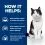 Hill's Prescription Diet Feline i/d AB+ somon 12 x 85 g