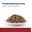 Hill's Prescription Diet Feline i/d AB+ somon 12 x 85 g