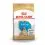 ROYAL CANIN BULLDOG PUPPY - 12 kg