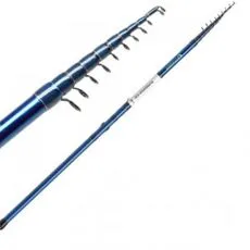 Match  și  bologneze