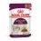 Royal Canin FHN Sensory Smell Gravy 12 x 85 g