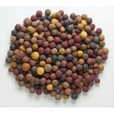 Mivardi Rapid boilies - Multi Mix 2,5kg