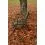 Mivardi Scaun CamoCODE Express