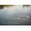 FOX RAGE Lansetă Street Fighter Rods Heavy shad 230cm/10-35g