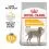 ROYAL CANIN MAXI Dermacomfort 2 x 12 kg