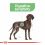 Royal Canin Maxi Digestive Care granules câini de talie mare cu tract digestiv sensibil 2 x 12 kg