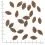 WOLFSBLUT Alaska Salmon 2 x 12,5 kg