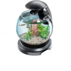 Acvariu bol, nano acvariu
