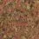 TetraMin Flakes 500 ml / 100 g