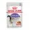 Royal Canin Sterilised Gravy pliculeț pentru pisici sterilizate &icirc;n sos 24 x 85 g