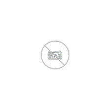 Tetra Discus granules 1 L