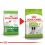 ROYAL CANIN X-SMALL ADULT,  8+ 1,5kg