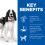 Hill's Science Plan Canine Adult Medium Chicken 14 kg