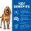 Hill's Science Plan Canine Mature Adult Light 7+ Chicken 14 kg