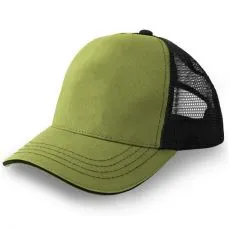 Sepci, palarii, fesuri