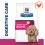 Hill's Prescription Diet Gastrointestinal Biome Mini Digestive Care 1 kg