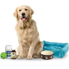 C&acirc;ini - Reduceri