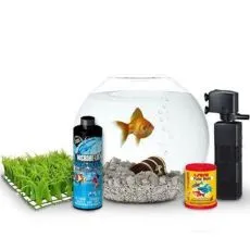  Acvaristică - Reduceri