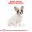 ROYAL CANIN BULLDOG FRANȚUZESC JUNIOR - 3 kg
