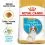 ROYAL CANIN CAVALIER KING CHARLES JUNIOR - 1,5 kg