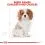 ROYAL CANIN CAVALIER KING CHARLES JUNIOR - 1,5 kg