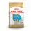 ROYAL CANIN Golden Retriever Puppy - 12kg