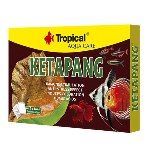 TROPICAL Ketapang 6 pachețele/5g