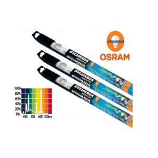 AQUASTAR 740 mm / 25 W - tub fluorescent 
