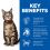 Hill's Science Plan Feline Adult Lamb & Rice 2 x 10 kg
