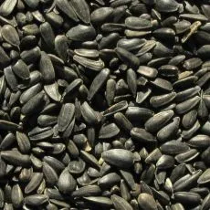 Semințe de floarea-soarelui negre 1 kg