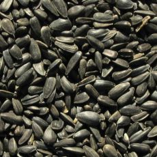 Semințe negre de floarea-soarelui - 1kg