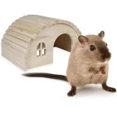 Rozătoare - Reduceri